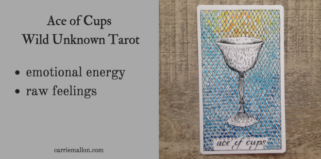 Ace of Cups :: Wild Unknown Tarot