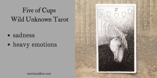 Metropolitan plus sælge Five of Cups :: Wild Unknown Tarot Card Meanings | Carrie Mallon