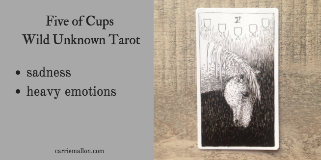 Five of Cups :: Wild Unknown Tarot Card Meanings