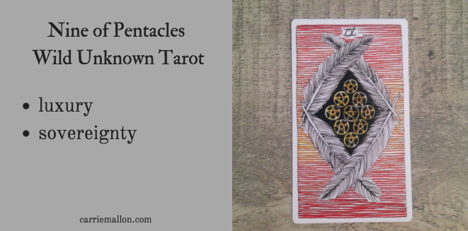 Wild unknown. The Wild Unknown Tarot. The Wild Unknown. Nine of Pentacles Tarot.