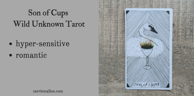 Daughter of Cups :: Wild Unknown Tarot Card Meanings