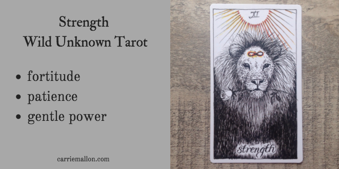 Strength :: Wild Unknown Tarot Card Meanings | Carrie Mallon