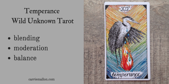 Temperance :: Wild Unknown Tarot | Carrie Mallon