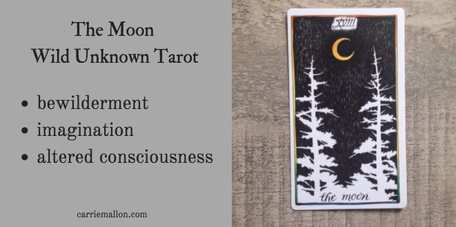 The Moon Tarot Card