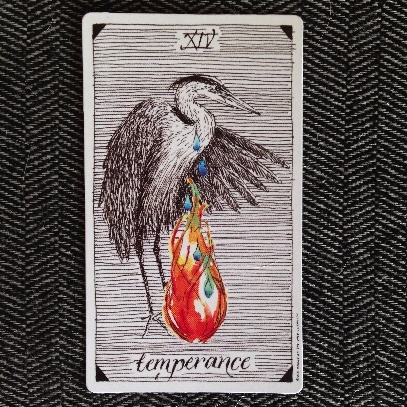 Temperance :: Wild Unknown Tarot | Carrie Mallon