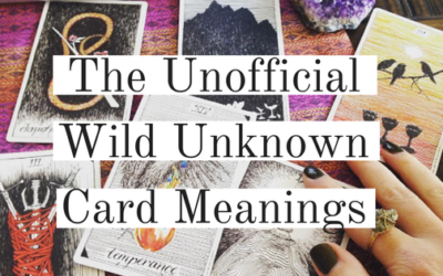 The Wild Unknown :: Tarot Card Meanings