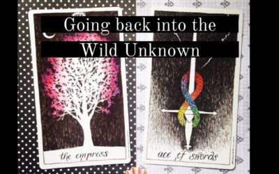 Going back into the Wild Unknown + other updates