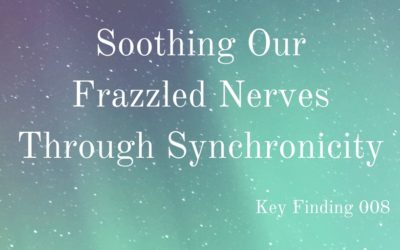 Soothing Our Frazzled Nerves through Synchronicity (Key Finding 008)