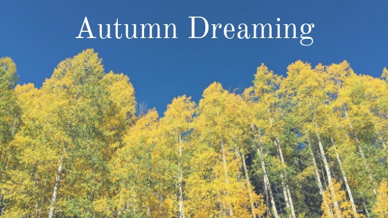 Autumn dreaming: where I’ve been + what’s coming next