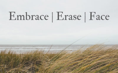 Embrace, Erase, Face