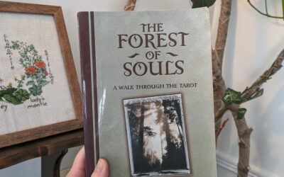 Entering the Forest of Souls (part one)